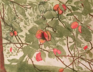 Plums by Valerie Daniel
